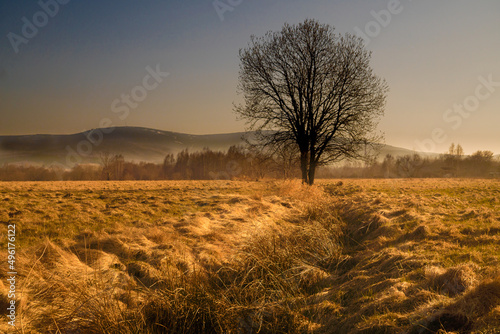 Sunset evening in the Pogórze Izerskie area in Poland in the early spring landscape with some trees  photo