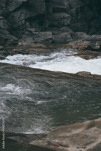 small river flowing through the forest. mountain stream