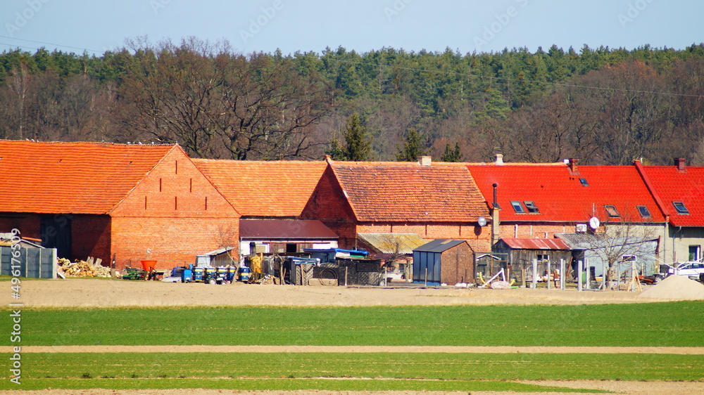 Obraz premium houses in the village