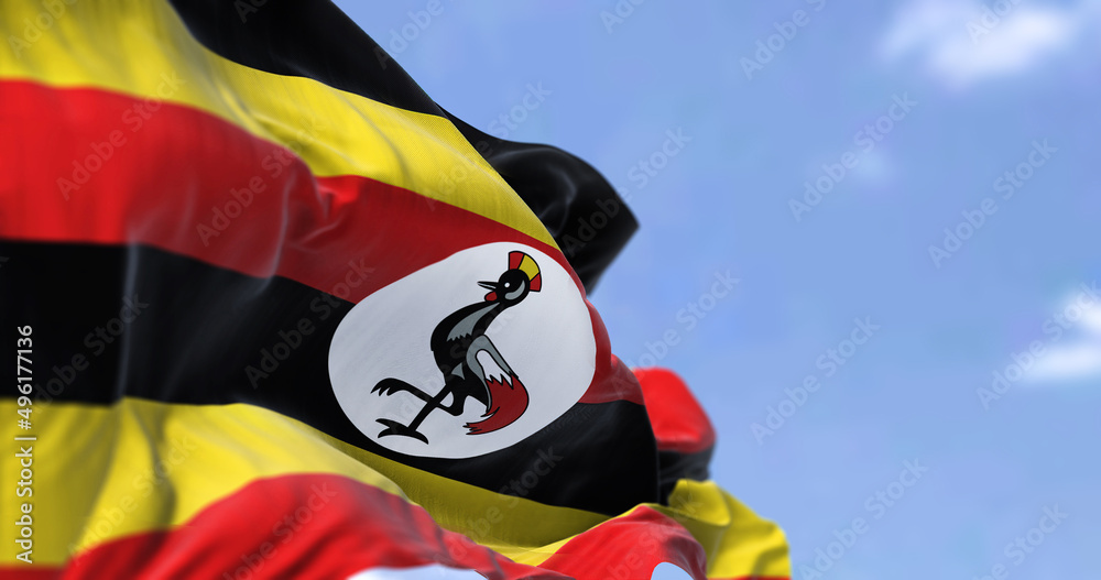 Fototapeta premium Detail of the national flag of Uganda waving in the wind on a clear day