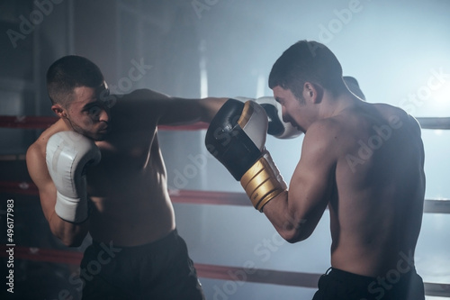 Two muscular mixed martial arts athletes fighting in the ring. High quality photography. © herraez