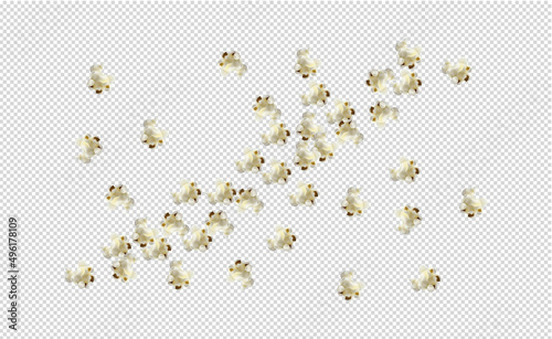 Popcorn collection isolated. Vector illustration.