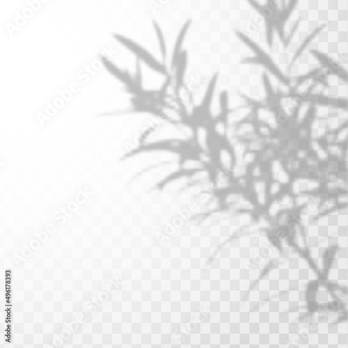 Realistic shadow tropical leaves and branches on transparent checkered background. The effect of overlaying shadows. Natural light layout.