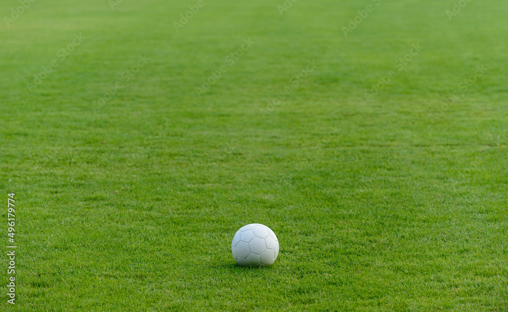 soccer ball on green grass soccer ball on green grass