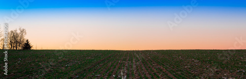Panoramic view of an open field in the German country side during a cold end of winter dusk