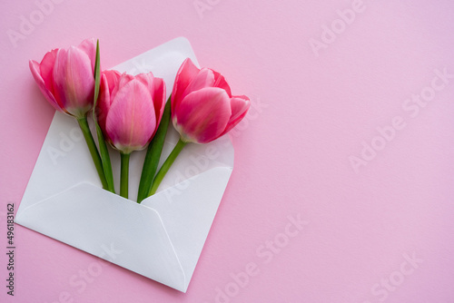 top view of blooming tulips in white envelope on pink, mothers day concept. #496183162