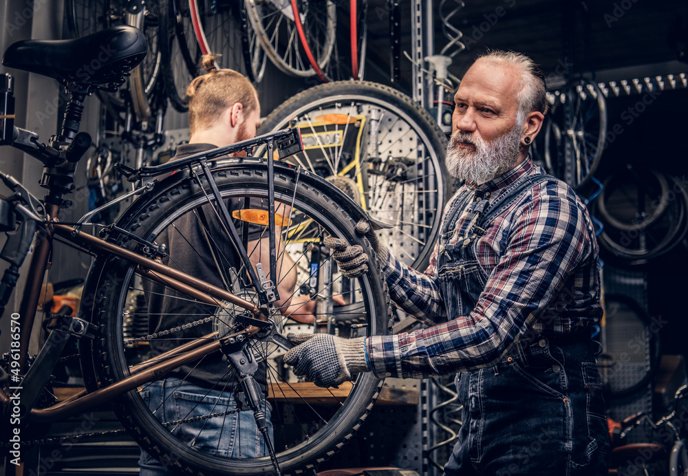 Aged craftsman with his young grandson repairing bicycles