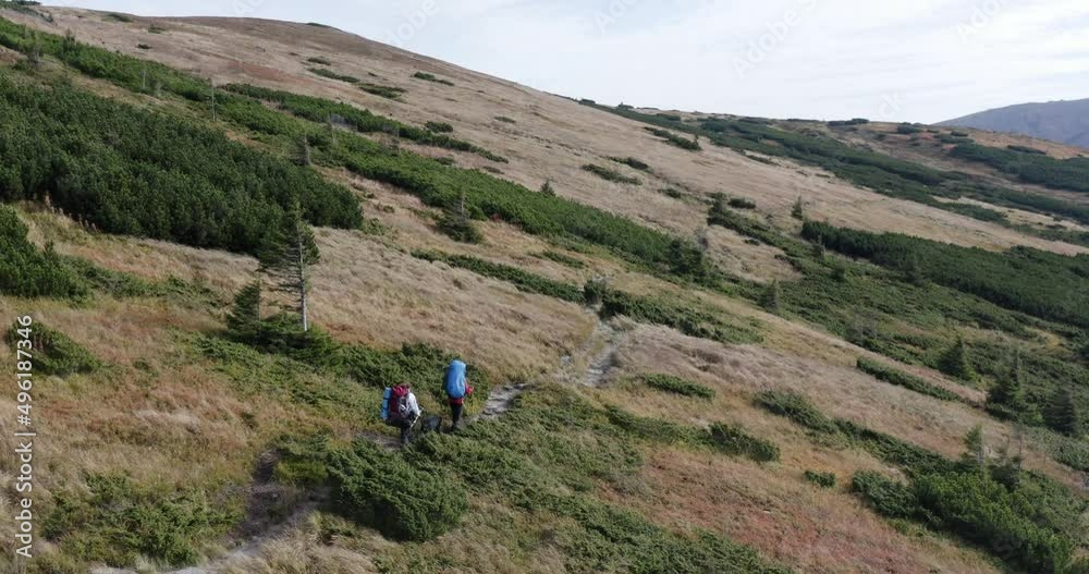 two tourists with large backpacks and a black dog are walking along a path through the mountains. hike through the green meadows on the top of the mountain. drone view two tourists with large backpacks and a black dog are walking along a path through the mountains. hike through the green meadows on the top of the mountain. drone view