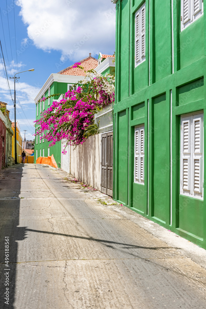 Sunny day in Willemstad, Curacao - walking through alleys with colorful painted houses and blooming bougainvillea