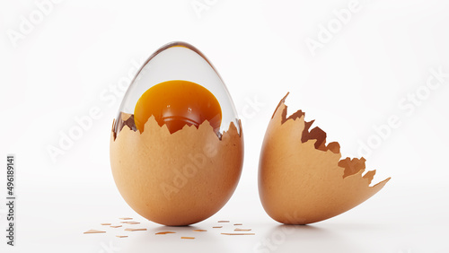 Broken brown chicken egg on white background. 3D render