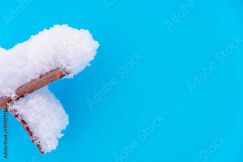 Tree branch in the snow on a blue background (copy space).