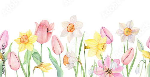 Floral seamless border. Watercolor pink tulip, yellow and white daffodles ornament. Hand drawn watercolor illustration. Decorative design elements.