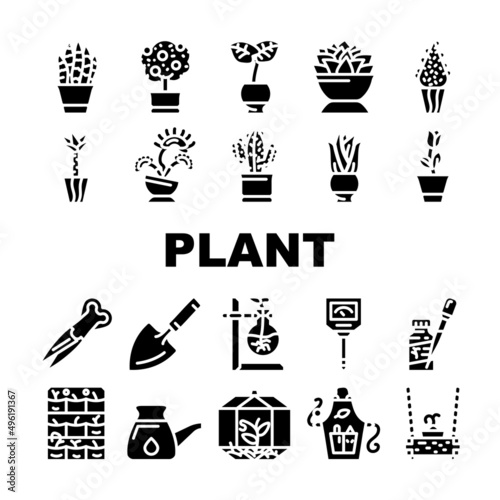 Potted Plant And Care Accessories Icons Set Vector. Sansevieria Trifasciata Citrus Tree, Monstera Deliciosa Buxus Sempervirens Potted Plant. Florarium Equipment Glyph Pictograms Black Illustration