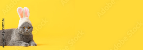 Canvas Print Cute cat with bunny ears on yellow background with space for text