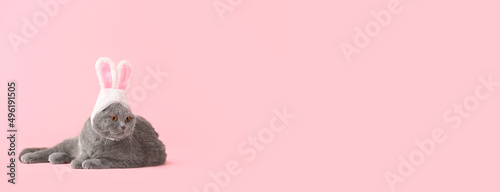 Cute cat with bunny ears on...
