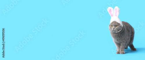 Cute cat with bunny ears on light blue background with space for text. Easter celebration