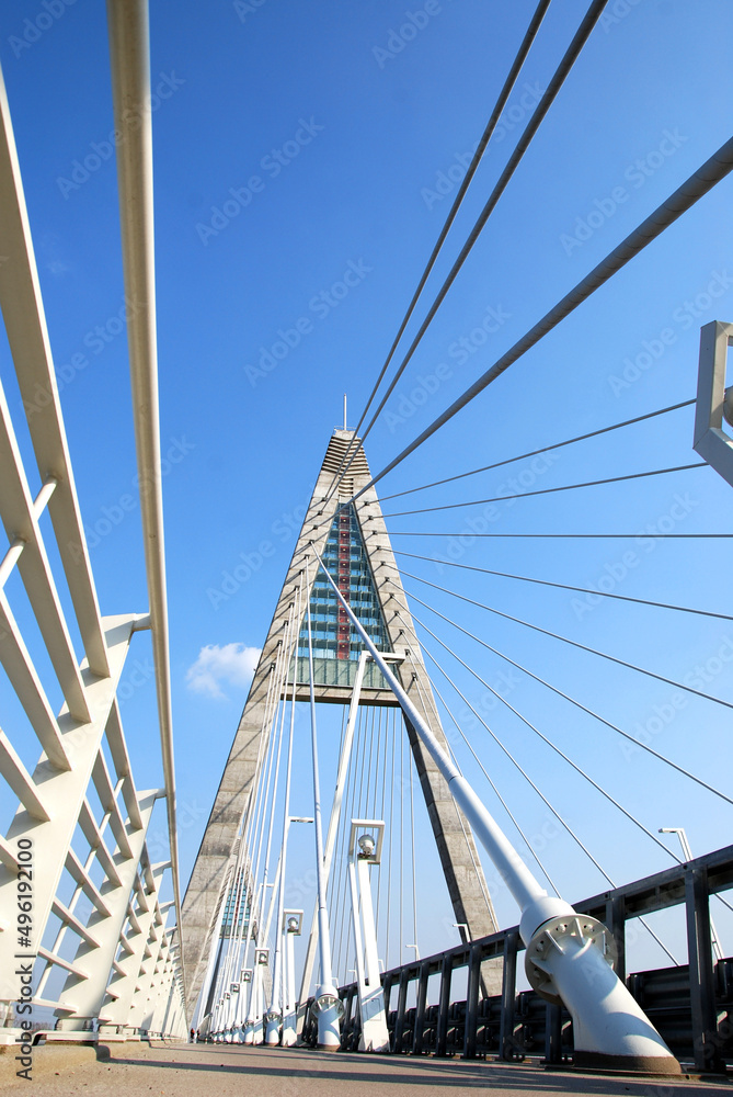 Obraz premium White suspension bridge