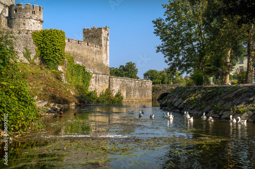Tower and walls of Cahir castle on the river Suir with swans and ducks. Tipperary, Ireland.