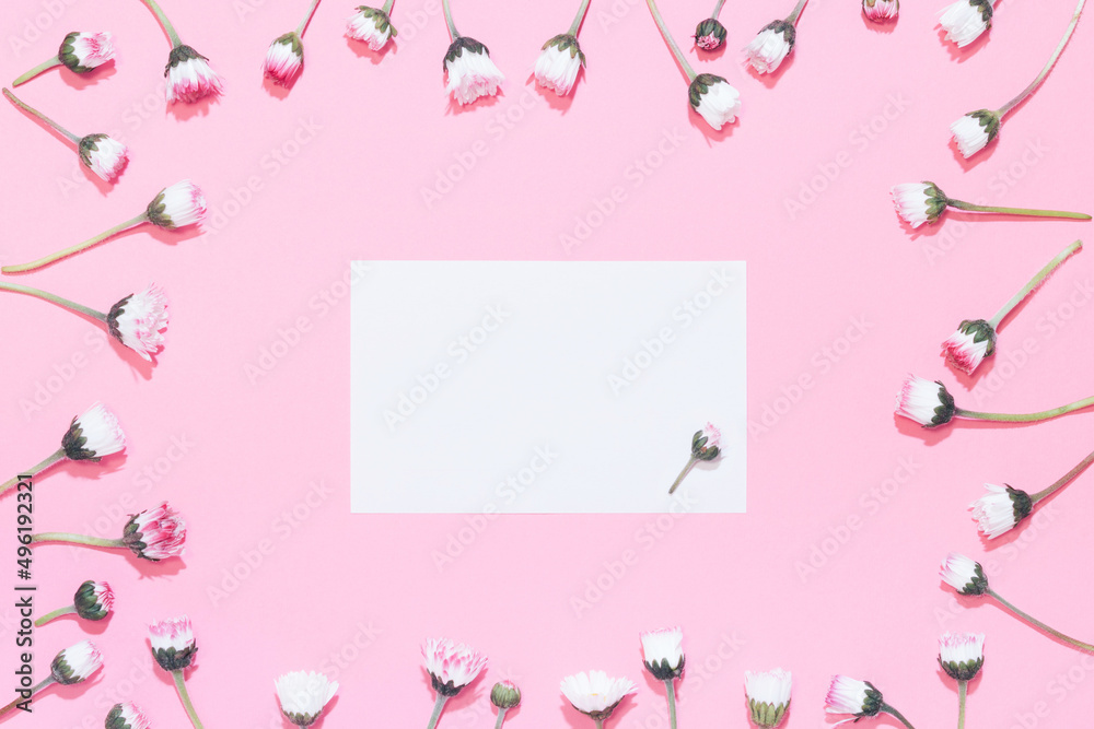 Creative flat lay composition with daisy flower buds. Spring or summer frame on pink background with copy space.