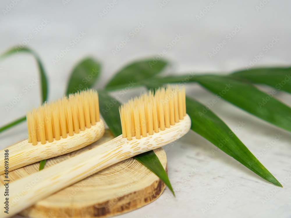 Natural bamboo toothbrushes close up. dental care, plastic free concept. Copy space for text Natural bamboo toothbrushes close up. dental care, plastic free concept. Copy space for text