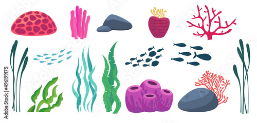 Underwater elements. Set of seaweeds, corals, seabed objects. flocks of fish