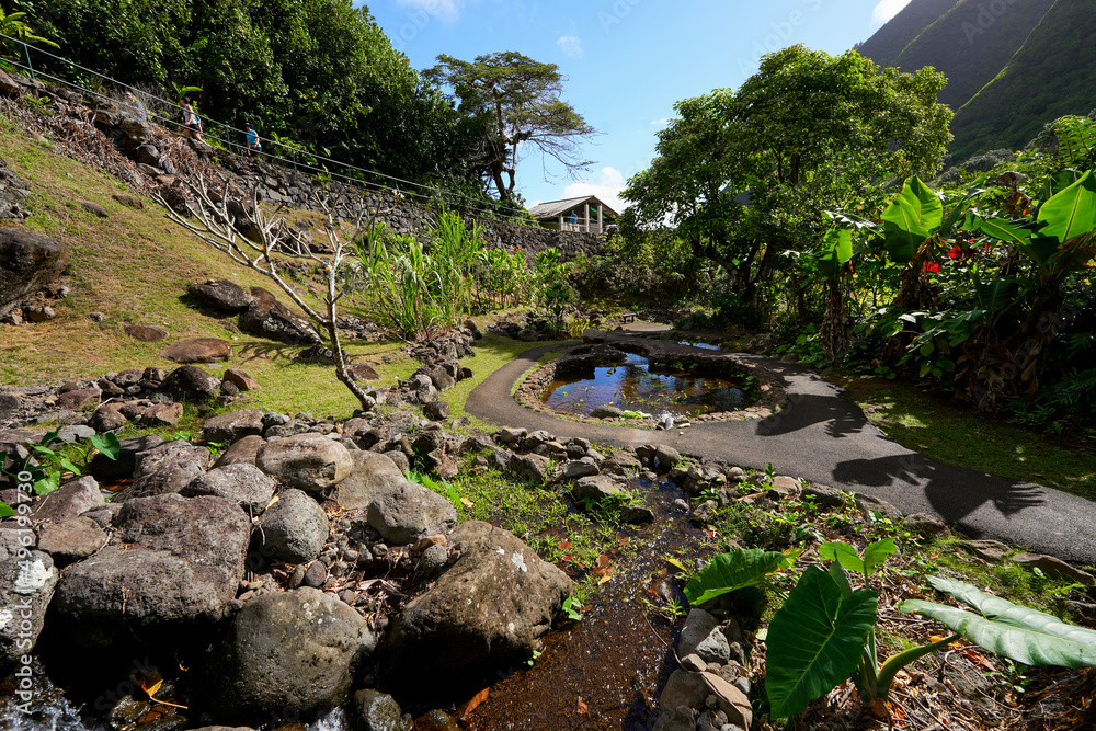 Botanical Garden in the Iao Valley in the west of Maui island in Hawaii, United States