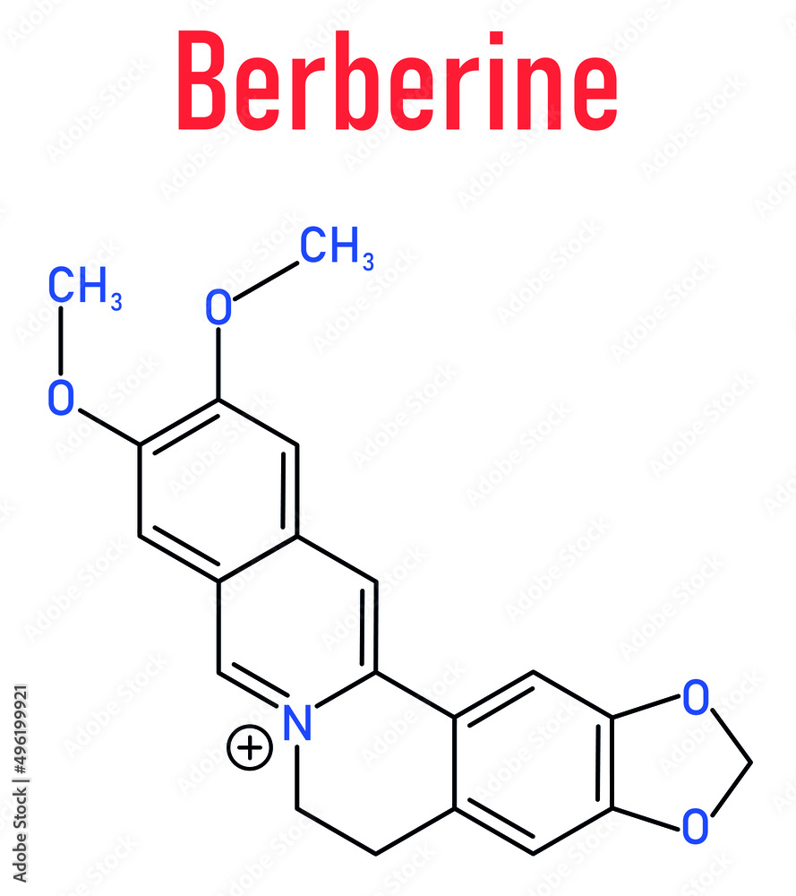 Berberine herbal medicine molecule. Skeletal formula. Berberine herbal medicine molecule. Skeletal formula.