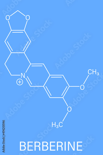 Berberine herbal medicine molecule. Skeletal formula.