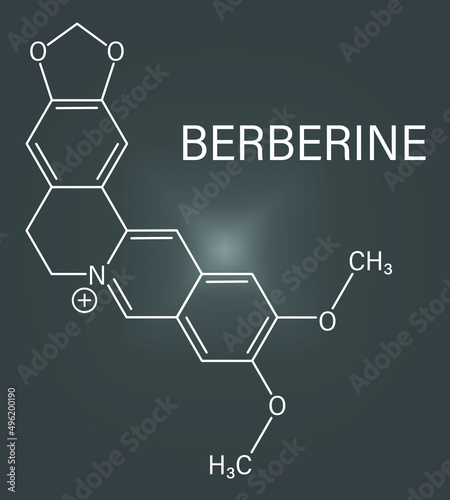 Berberine herbal medicine molecule. Skeletal formula.