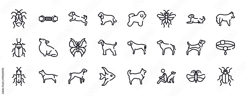 insects thin line icons collection. insects editable outline icons set. dog lying, shetland sheepdog, pollen beetle, corgi, leaf butterfly, afghan hound stock vector. insects thin line icons collection. insects editable outline icons set. dog lying, shetland sheepdog, pollen beetle, corgi, leaf butterfly, afghan hound stock vector.