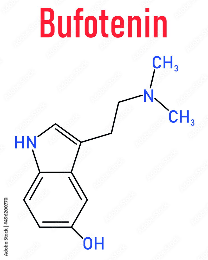 Bufotenin molecule. Tryptamine present in several psychedelic toads. Skeletal formula.