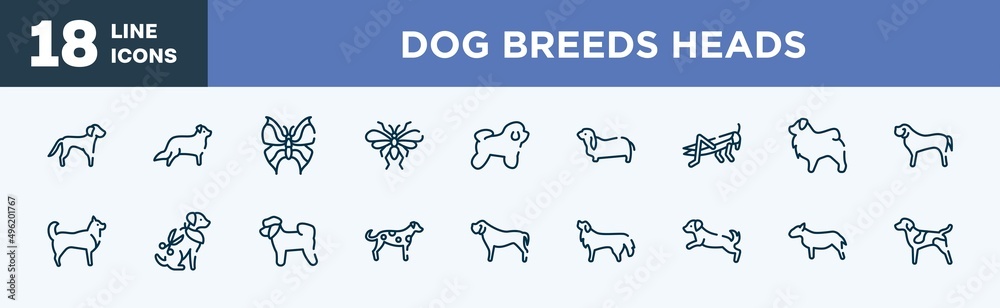 set of dog breeds heads icons in outline style. dog breeds heads thin line icons collection. springer spaniel, bernese mountain, leaf butterfly, null, bichon frise, bas hound vector.