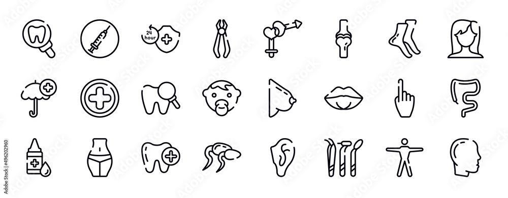 body parts thin line icons collection. body parts editable outline icons set. tiptoe feet, brunette female woman long hair, umbrella with plus, hospital medical, zoom on tooth, baby face stock body parts thin line icons collection. body parts editable outline icons set. tiptoe feet, brunette female woman long hair, umbrella with plus, hospital medical, zoom on tooth, baby face stock