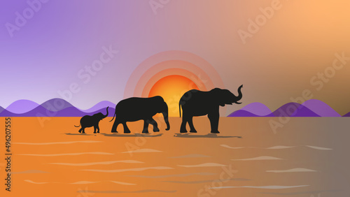 Elephant silhouette at sunset 
