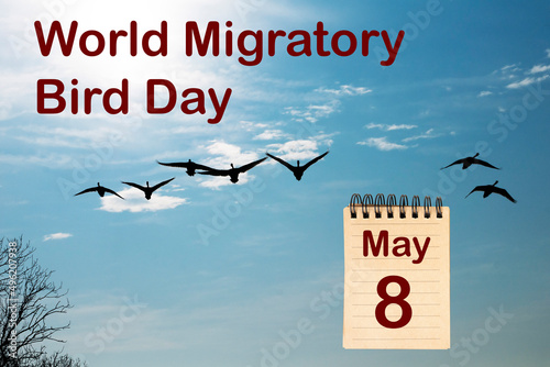 Fotografi World Migratory Day