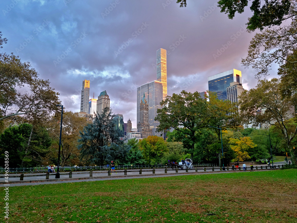 Obraz premium Park in the evening