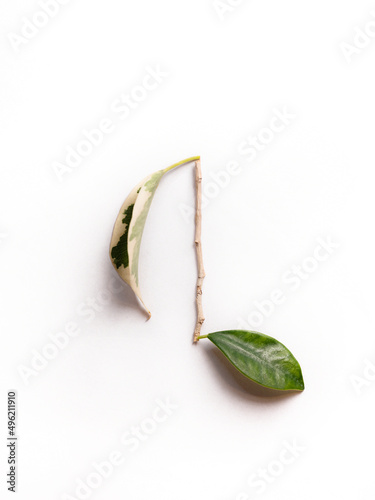Conceptual musical quaver