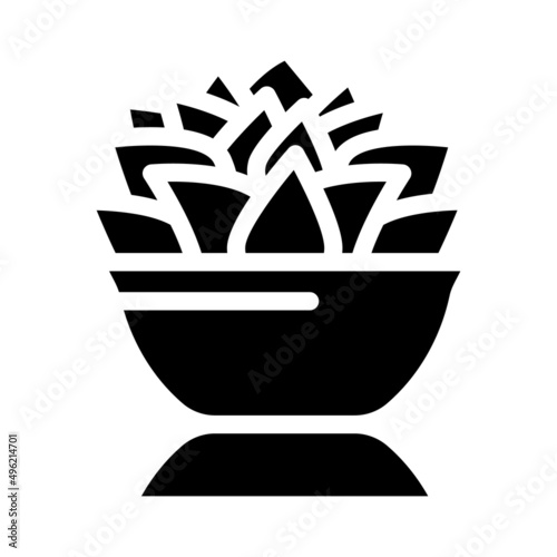 echeveria lola glyph icon vector. echeveria lola sign. isolated contour symbol black illustration