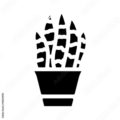 sansevieria trifasciata glyph icon vector. sansevieria trifasciata sign. isolated contour symbol black illustration