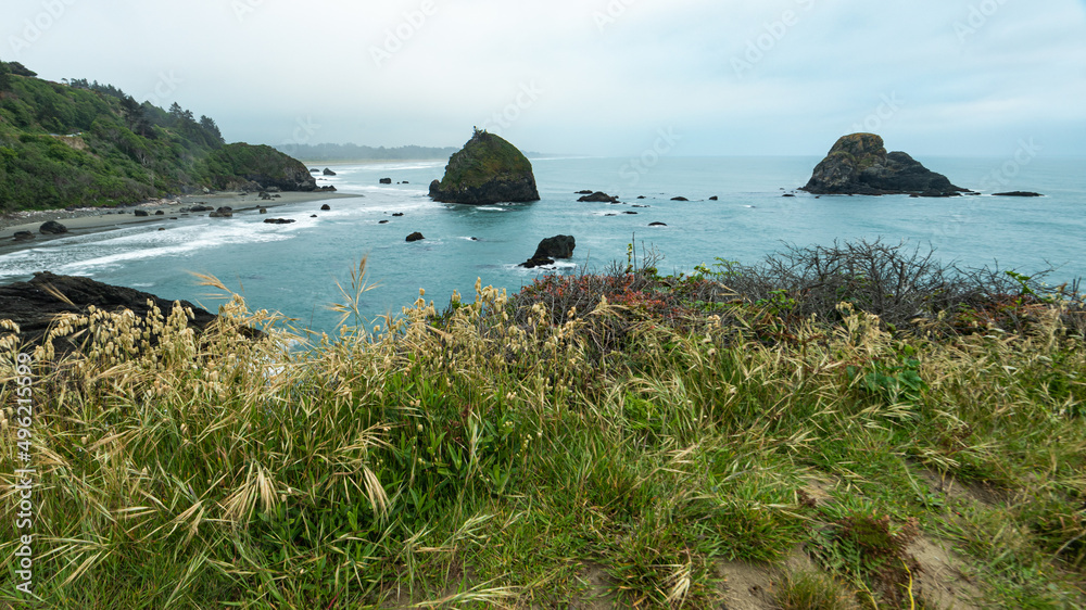 Obraz premium Luffenholtz Beach overlook - northern California