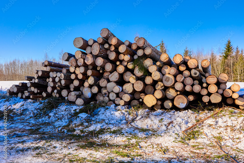 Deforestation in countryside in northern Europe at winter day.