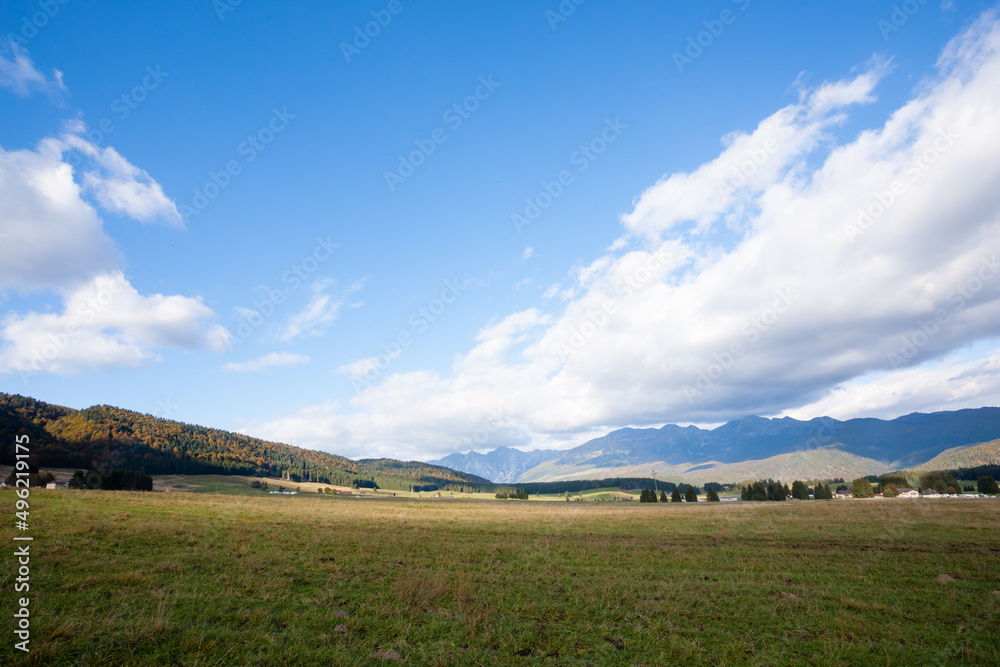 Cansiglio woodland autumn view. Nature landscape Cansiglio woodland autumn view. Nature landscape