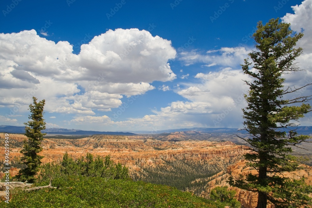 Fototapeta premium Bryce Canyon National Park, Utah. Giant natural amphitheaters, hoodoos, delicate and colorful pinnacles, red, orange, and white colors of rocks