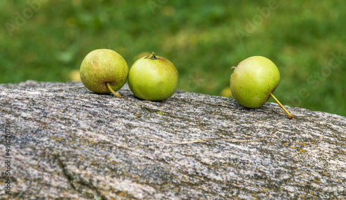 Three green apples on a speckled  granite boulder.