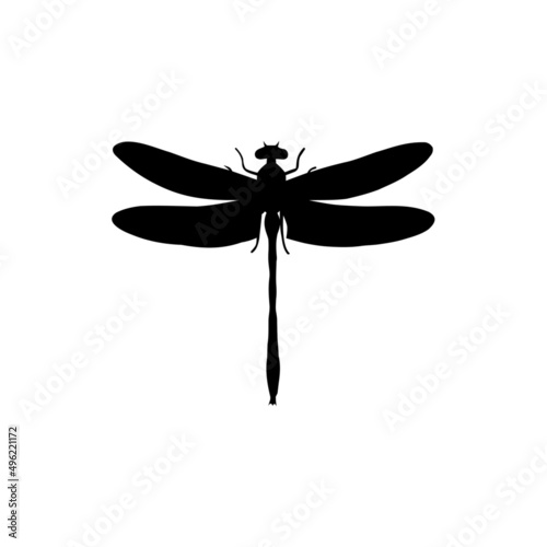 The Best Dragonfly Silhouette Image With White Background