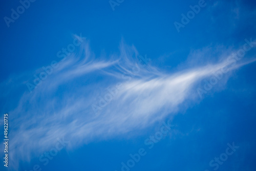 Beautiful white and gray clouds against a beautiful blue desert sky in the American Southwest. Large puffy and wispy cloudscapes, fresh clean air.