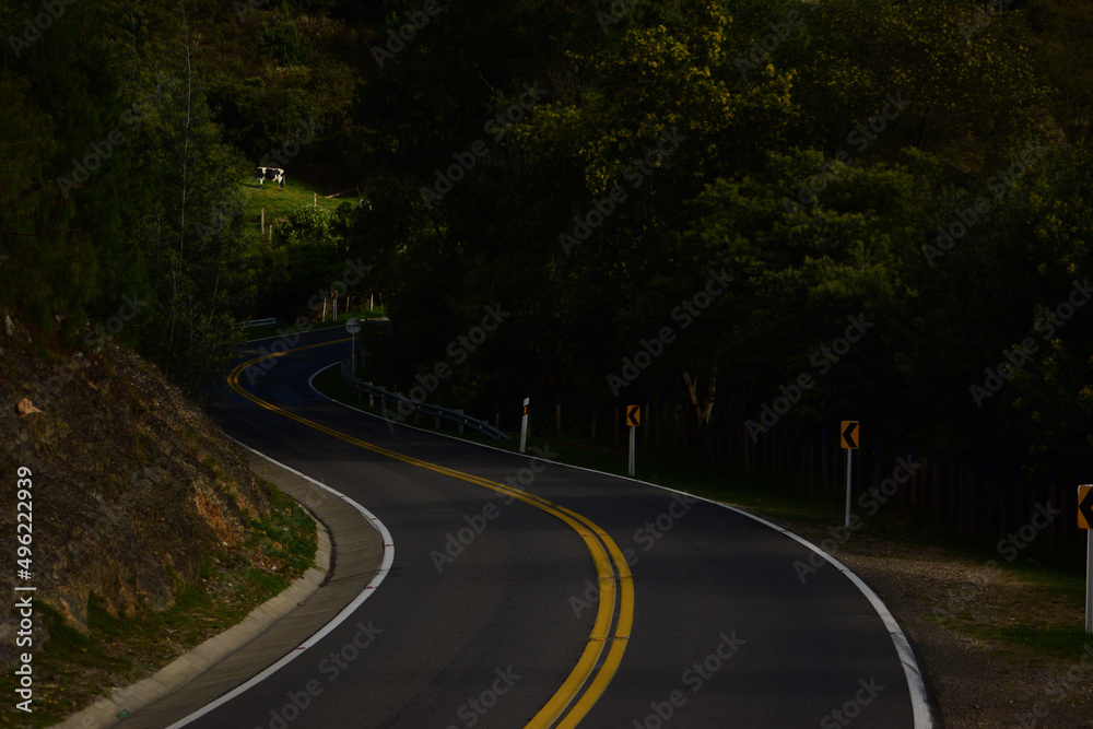 Obraz premium road in the night