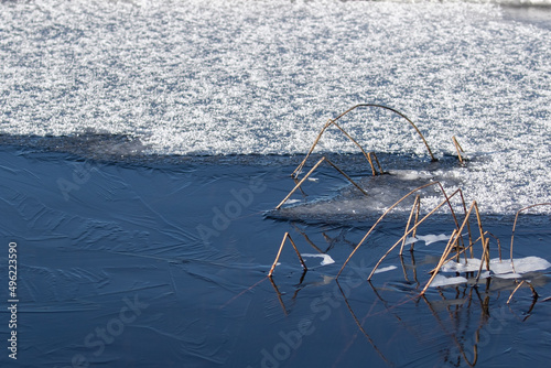 Foto A spring background of ice thawing in a marsh in Ontario