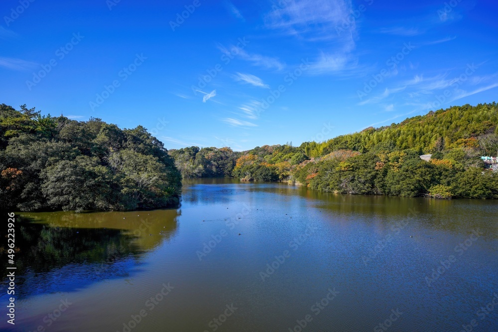 青空バックに見る秋の公園情景＠淡路島、兵庫