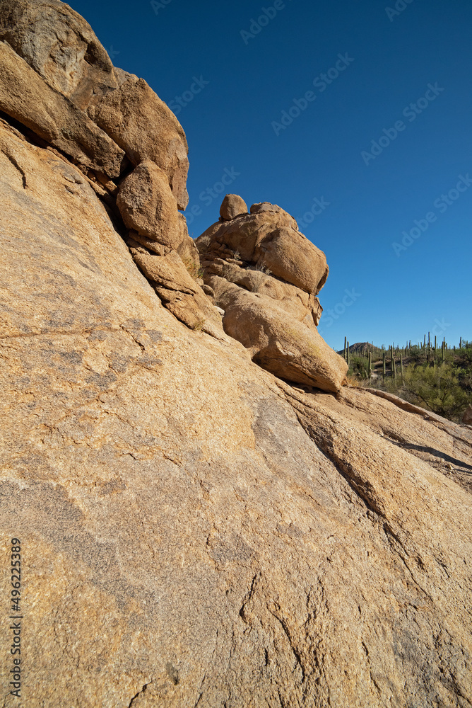 Desert boulders shaped like a wild cat